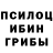 Галлюциногенные грибы Psilocybe Curtis Ngo