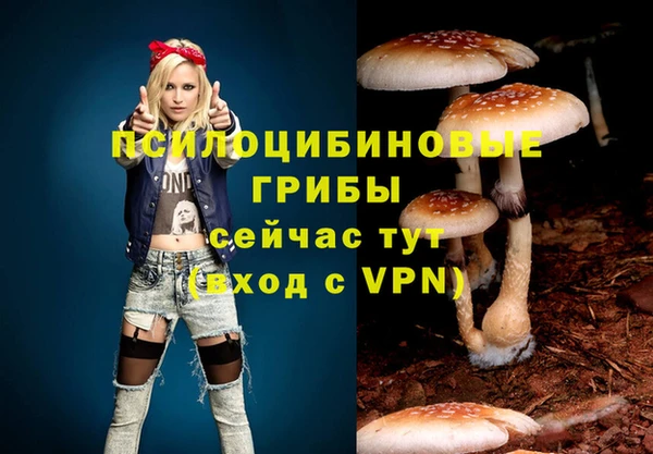 марки lsd Щигры