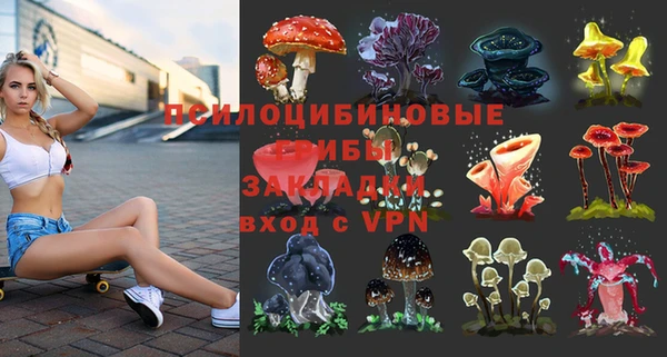 твердый Зерноград