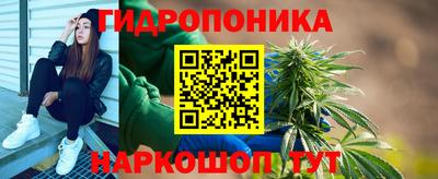 хмурый Бийск