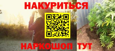 шишки Бийск