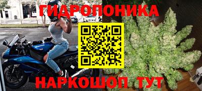 шишки Бийск