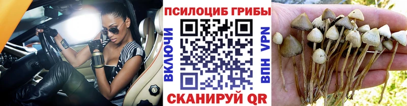 Псилоцибиновые грибы GOLDEN TEACHER  как найти   Воркута 