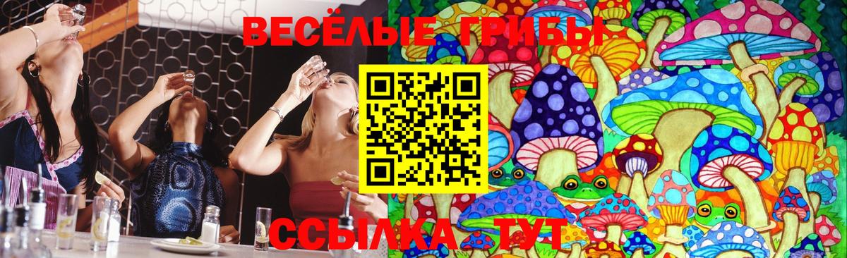 Воркута  Псилоцибиновые грибы мухоморы  Вход с VPN 