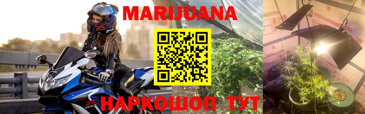 Бошки марихуана SATIVA & INDICA Воркута